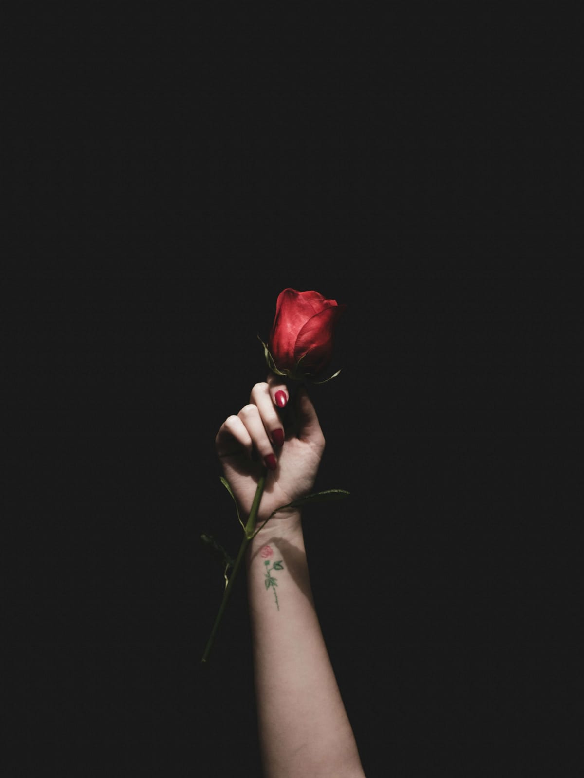 Woman holding rose flower
